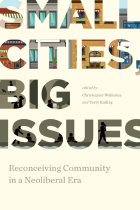 ebooks canadian collection small cities big issues cover image    