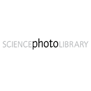 DynaMed-Multimedia-Science-Photo-Library-logo-180.png