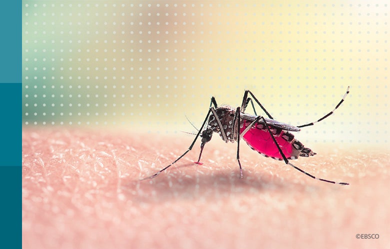 malaria in us mosquito blog image    