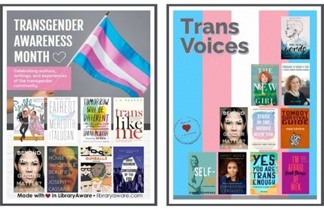 trans awareness image    
